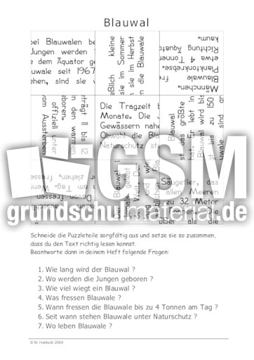 Blauwal.pdf